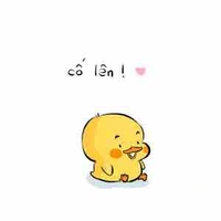 Nổi hứng thì viết