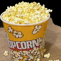 cả lớp 11a3 (- vài người )