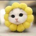 Tác giả cute vô đối thủ