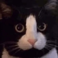 all (những ai cần trừ)