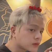 nguyễn quang anh (18t)