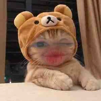 tg cute 