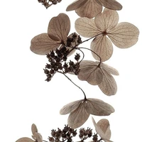 đám trẻ con