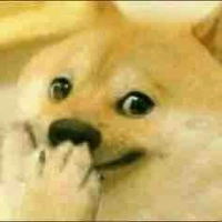 Sốp bị downy 🫥