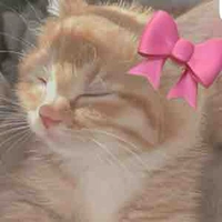 Tác giả xấu gái