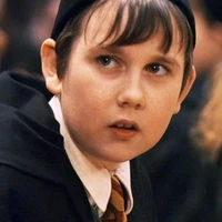 Matthew Lewis
(Neville Longbottom)
