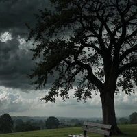 Nguyễn Tấn Đạt