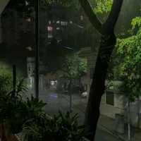 Nguyễn Ngọc Thanh - Dì Hai