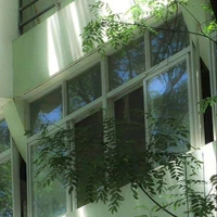 Võ Hoàng Tuấn Kiệt