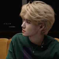 Trương Chân Nguyên