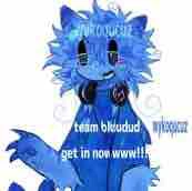 Bluudud