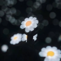 all-ai thì-