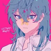 CHXHCHVN [Việt Nam ]