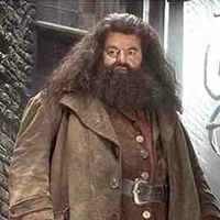 Rubeus Hagrid