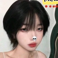 Tô Lâm Thư