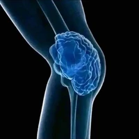 tác giả não tàn