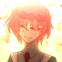 tt hiha