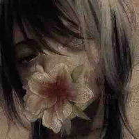 Mizano Shin