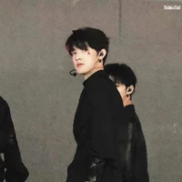 Trương Trạch Vũ