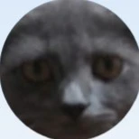 bàbánhàngđacấp