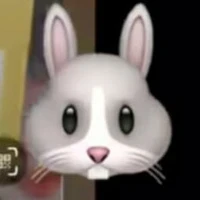 t/g