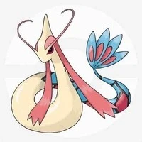 milokaross . serena
