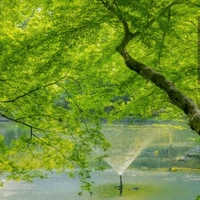 All{Những người có mặt}
