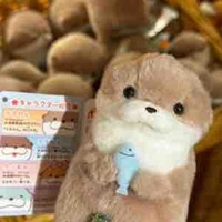 Rái cá nhồi bông