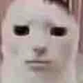 Cô căng tin 