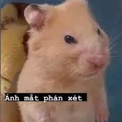 Tác giả