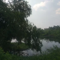 Cân mọi loại nhân vật