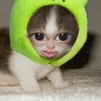 Nhỏ tác giả !!!