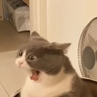 [ Hệ Thống ]