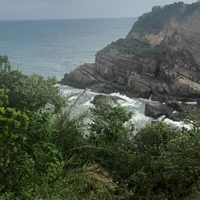 All bot(-ai tự biết)