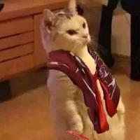 đám nhân viên