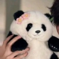 TG 🐼