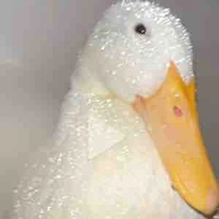 Người bí ẩn😎 and nhân vật phụ