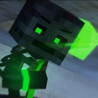 Wiriter/Wir(Wither Skeleton)