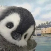 Người qua đường.