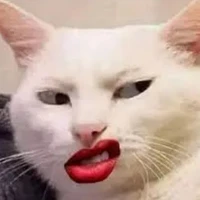 cả đám (trừ vài ng r)