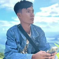 văn hảo