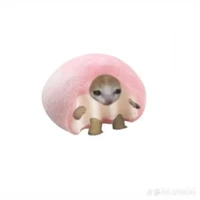 nhỏ TG xồn làm 