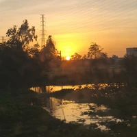 Nhân Vật Phụ 