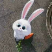 ngáo_hệ thống 002