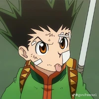 Gon Freecss
