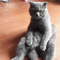 t/g rất lười:))