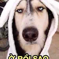 Tôi