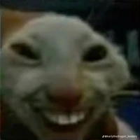 Chu Chính (ko có ảnh thích hợp:( )