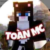 Toàn