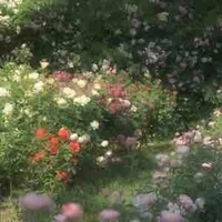 all <trừ ai thì trừ>